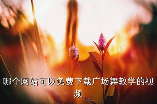哪个网站可以免费下载广场舞教学的视频