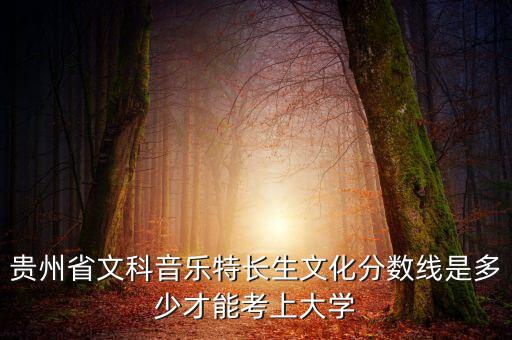 贵州音乐艺考分数线2023，贵州民族学院 艺术类录取分数线