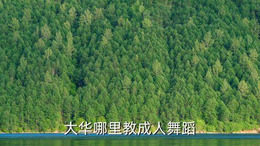 大华哪里教成人舞蹈