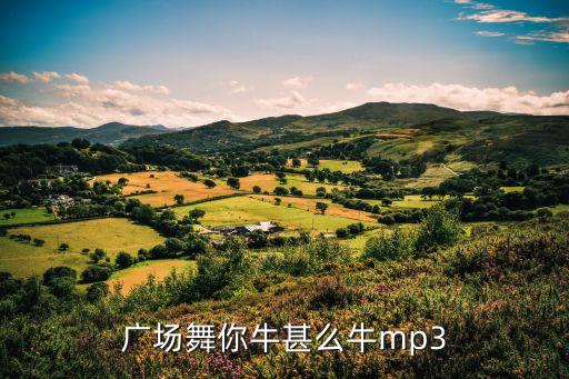 广场舞你牛甚么牛mp3