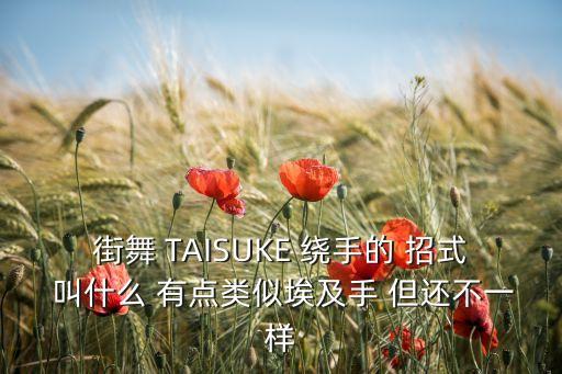 街舞 TAISUKE 绕手的 招式 叫什么 有点类似埃及手 但还不一样