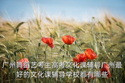 广州舞蹈艺考生高考文化课辅导广州最好的文化课辅导学校都有哪些