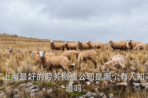 上海雁淼劳务有限公司怎么样，上海的比较正规的劳务派遣公司都有哪些求介绍