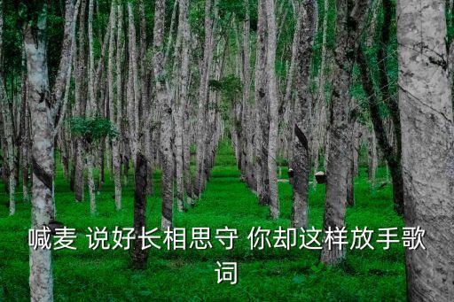 喊麦 说好长相思守 你却这样放手歌词