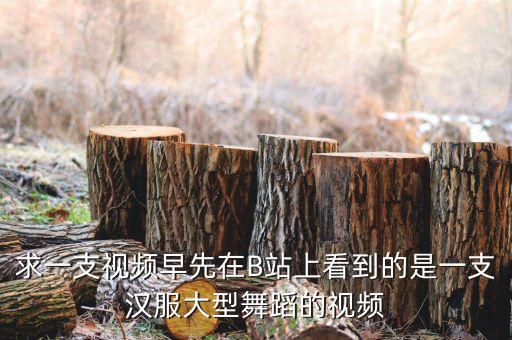 求一支视频早先在B站上看到的是一支汉服大型舞蹈的视频