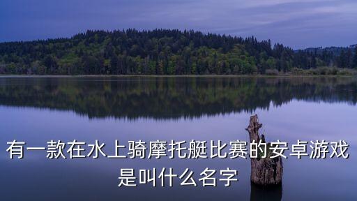 有一款在水上骑摩托艇比赛的安卓游戏是叫什么名字