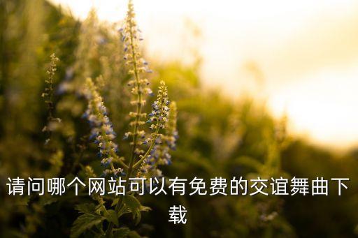 请问哪个网站可以有免费的交谊舞曲下载