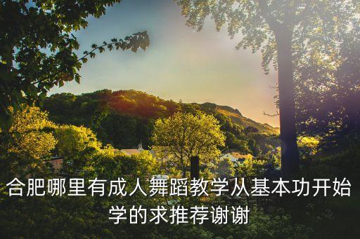 合肥哪里有成人舞蹈教学从基本功开始学的求推荐谢谢