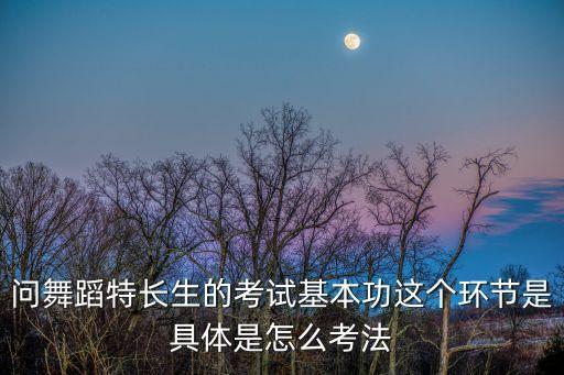 舞蹈考试基本功展示流程，舞蹈生联考的大体流程