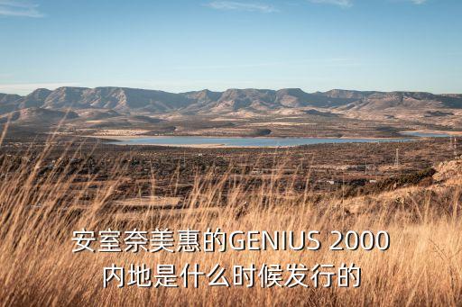 安室奈美惠的GENIUS 2000内地是什么时候发行的