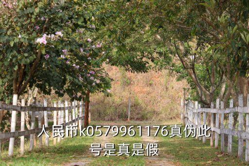 人民币k0579961176真伪此号是真是假