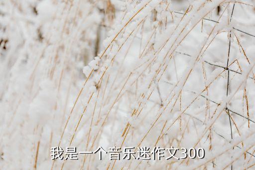 我是一个音乐迷作文300