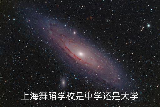 上海舞蹈学校是中学还是大学