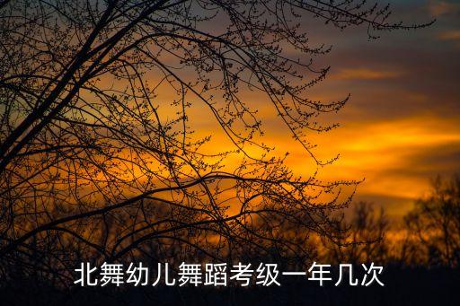 北舞幼儿舞蹈考级一年几次