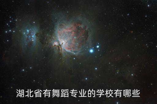 湖北省有舞蹈专业的学校有哪些