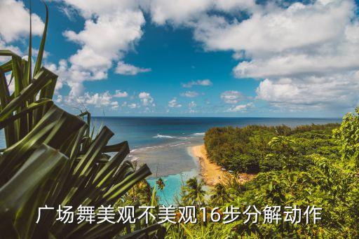 广场舞美观不美观16步分解动作