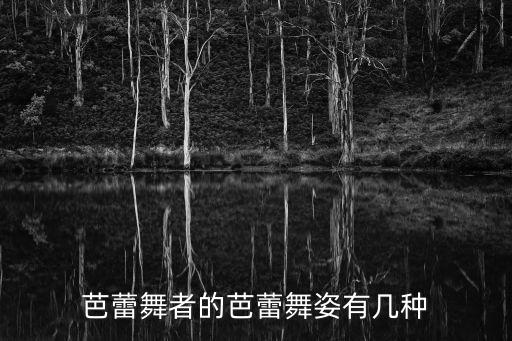 芭蕾舞者的芭蕾舞姿有几种