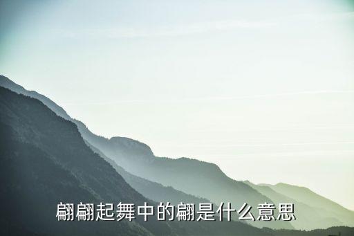 翩翩起舞中的翩是什么意思