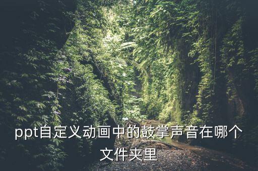 掌声在哪里正面背面教学视频，ppt自定义动画中的鼓掌声音在哪个文件夹里
