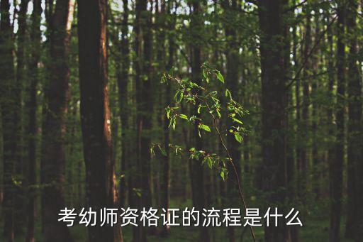 考幼师资格证的流程是什么