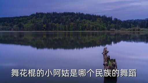 小阿歌是什么民族舞，向上吧少年里的女团王俊雅王广弘屈梦汝张馨月赵罟娴从小