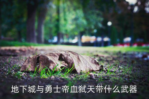 地下城与勇士帝血弑天带什么武器