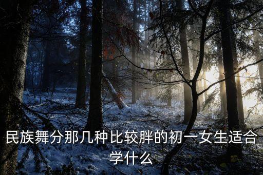 民族舞分那几种比较胖的初一女生适合学什么