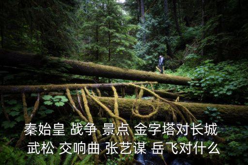 仗剑走天涯 对什么，动漫cp白灵是指谁和谁