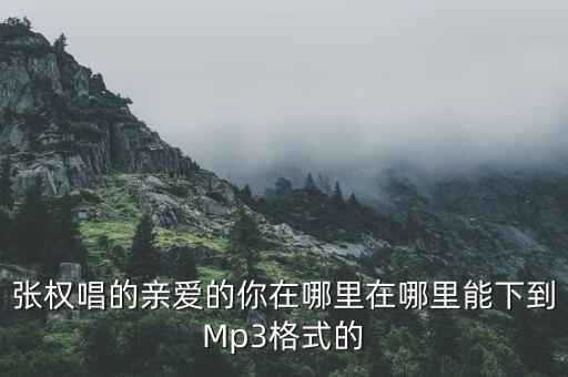 张权唱的亲爱的你在哪里在哪里能下到Mp3格式的