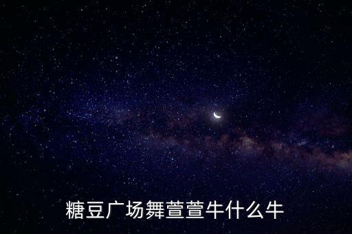 你牛怎么牛广场舞视频，你牛什么牛mp3