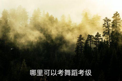 舞蹈等级证书怎么考，哪里可以考舞蹈考级