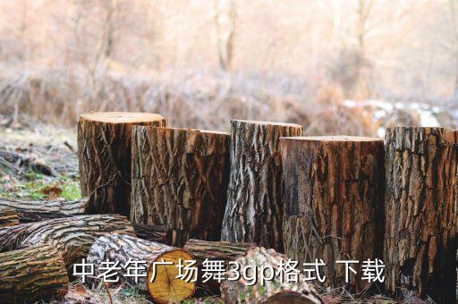 中老年广场舞3gp格式 下载