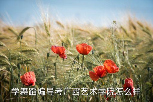 学舞蹈编导考广西艺术学院怎么样