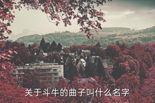 斗牛舞曲叫什么名字，国际拉丁舞斗牛曲歌名叫什么