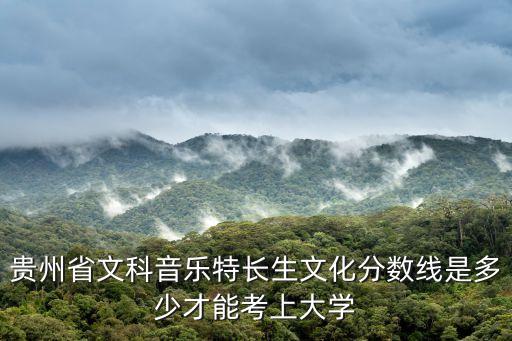 贵州2021舞蹈高考分数线文科，我是贵州高考生艺考舞蹈考130省内过线120文化317过线我