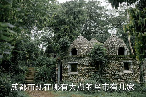 鸟之广场在哪里，成都市现在哪有大点的鸟市有几家