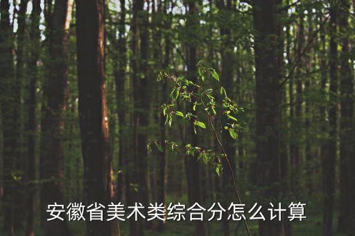 安徽省美术类综合分怎么计算