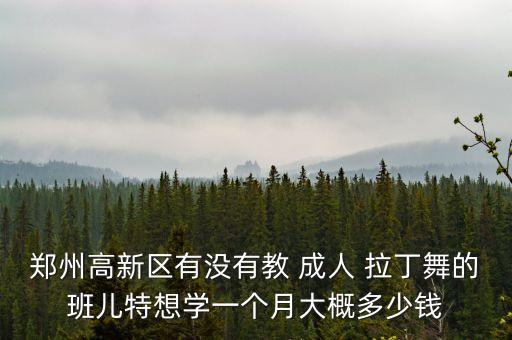 郑州高新区有没有教 成人 拉丁舞的班儿特想学一个月大概多少钱