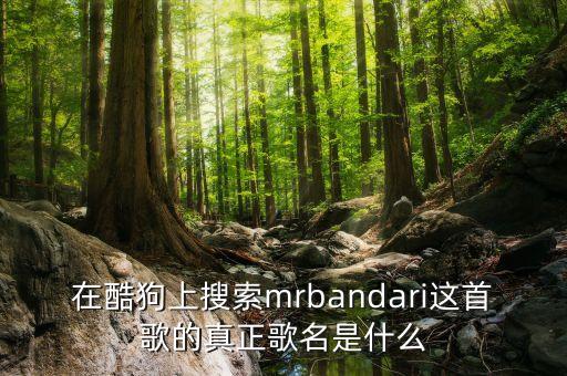 马背上的情歌是什么舞曲，广场舞马背上的情歌是哪位唱的