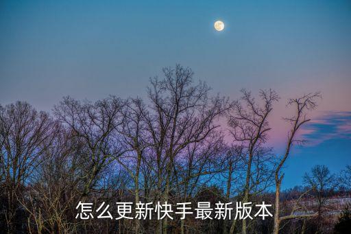 怎么更新快手最新版本
