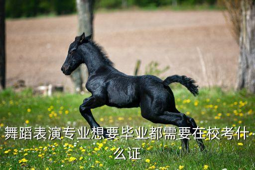 舞蹈表演专业想要毕业都需要在校考什么证