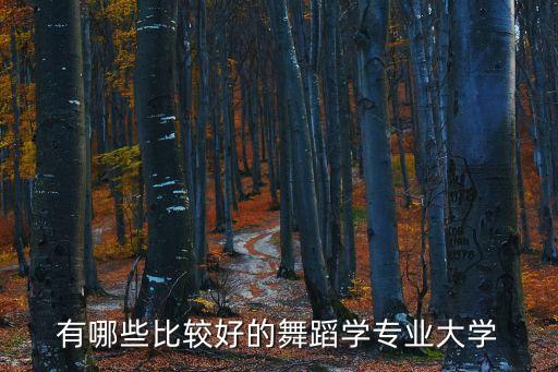 有哪些比较好的舞蹈学专业大学