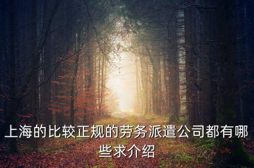 上海的比较正规的劳务派遣公司都有哪些求介绍