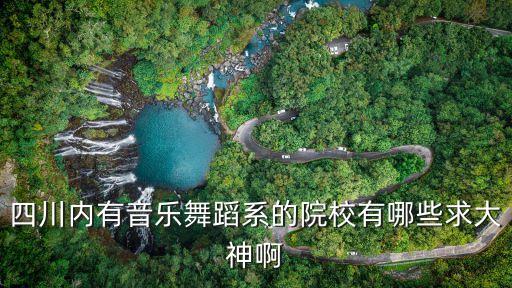 四川省有舞蹈系的大学有哪几所，四川哪所大学的舞蹈系号