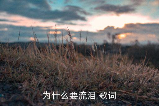 龙飘飘为什么要流泪，今晨当我不再为我的付出而流泪是什么歌