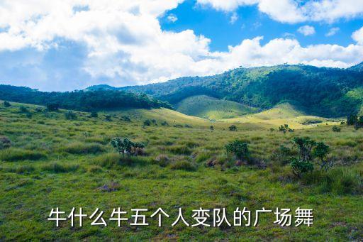 牛什么牛五个人变队的广场舞