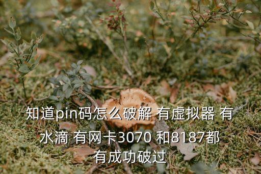 知道pin码怎么破解 有虚拟器 有水滴 有网卡3070 和8187都有成功破过