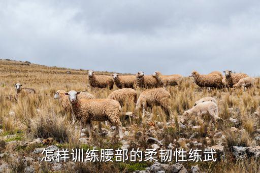 怎样训练腰部的柔韧性练武