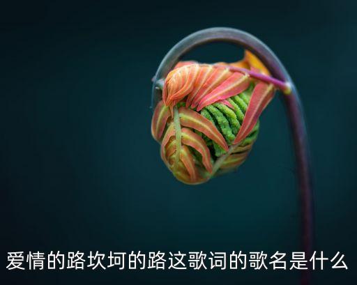 爱情的路坎坷的路这歌词的歌名是什么
