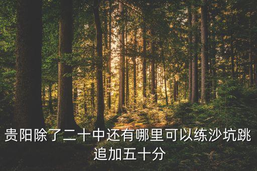 贵阳花溪哪里有沙舞，贵阳砂舞的地址
